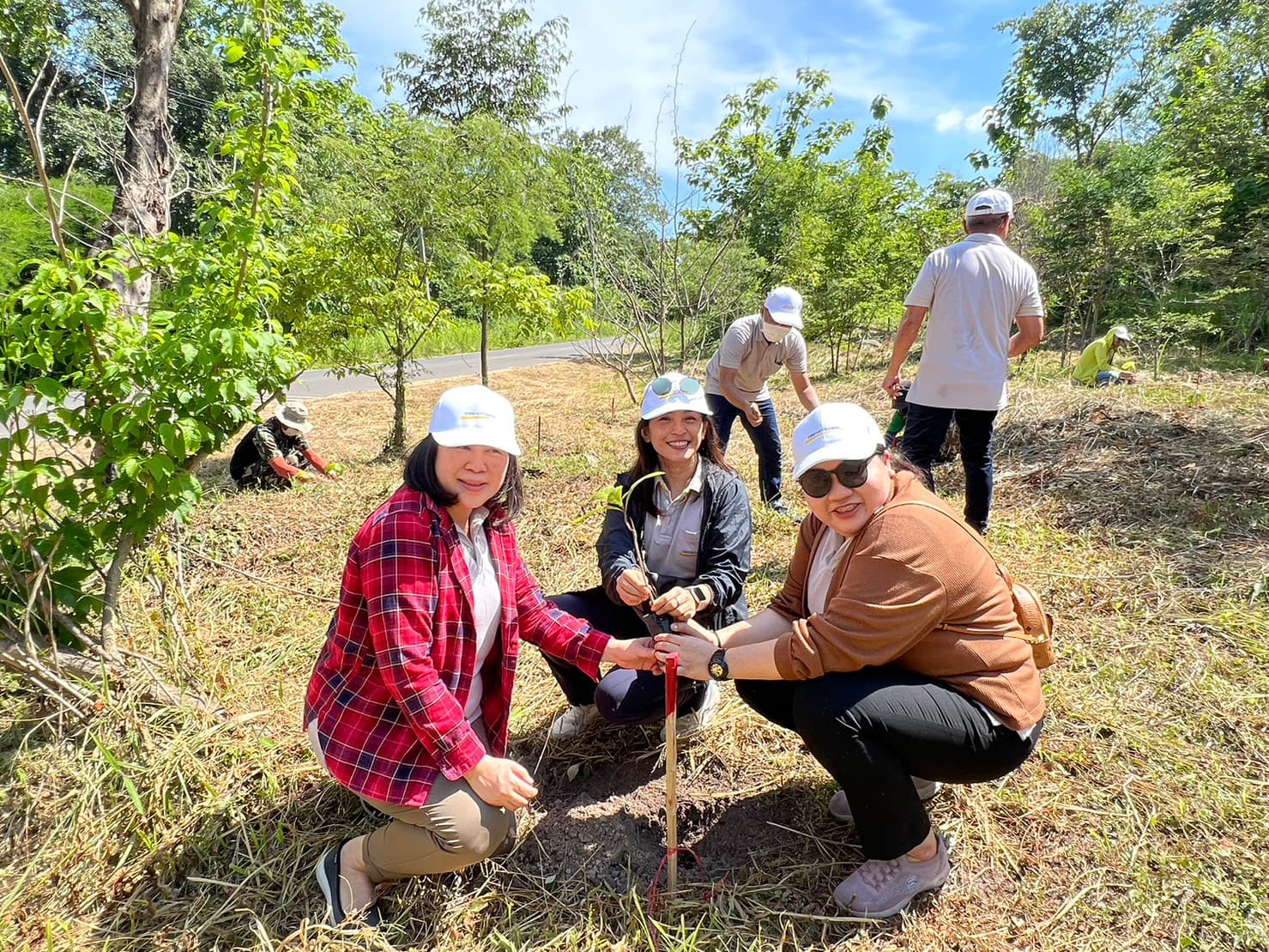 Read more about the article Forest Conservation at Saraburi Province