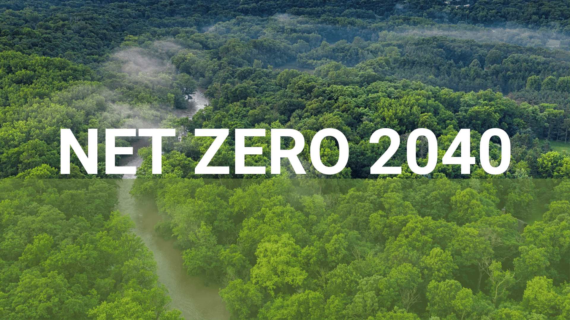 Read more about the article Empowering Change with a Net Zero Carbon Commitment